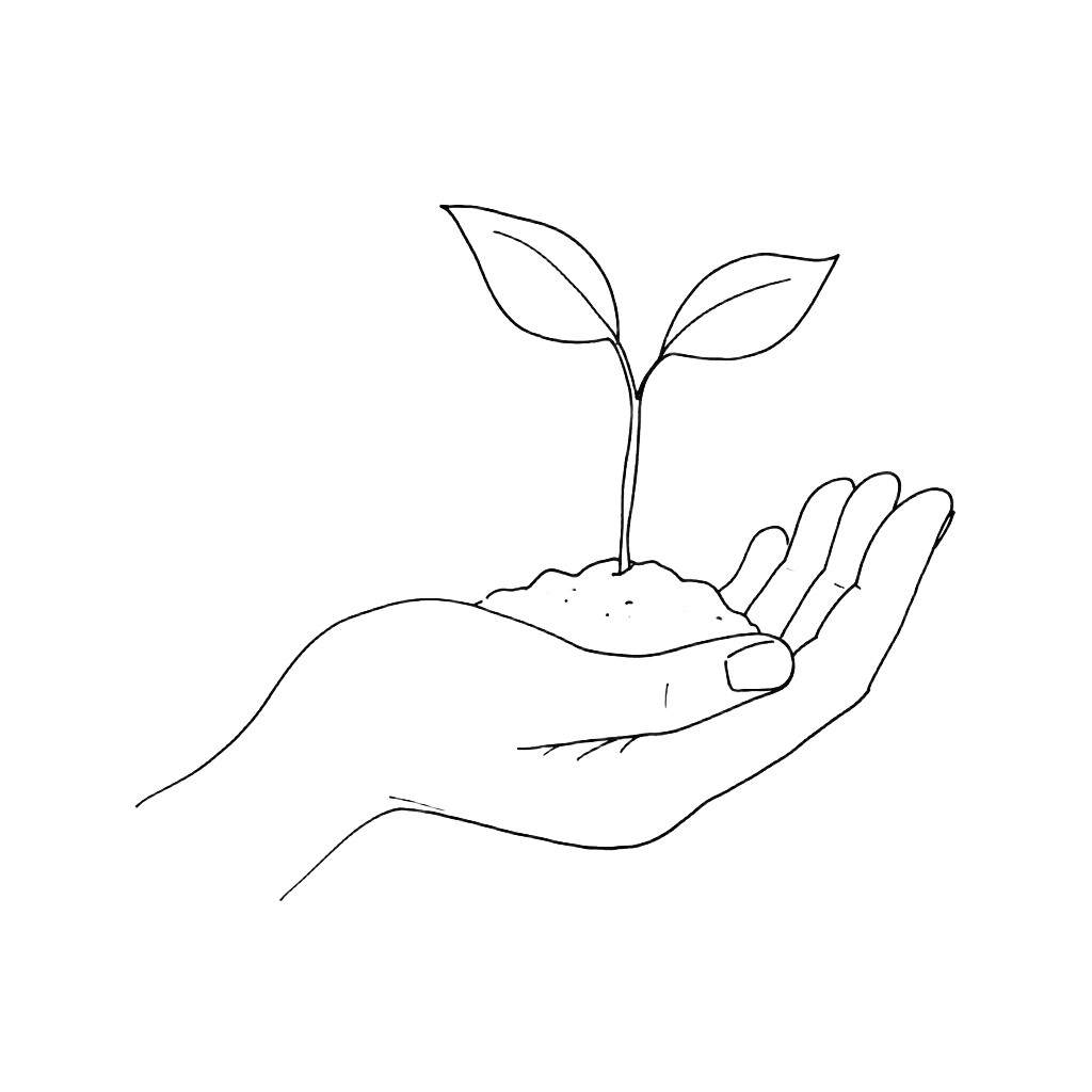 Een plantje in een open hand
